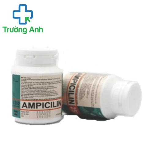 Ampicilin Pharbaco (lọ) - Thuốc điều trị nhiễm khuẩn hiệu quả
