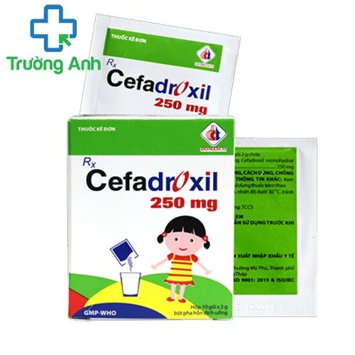 Cefadroxil 250mg Domesco - Thuốc điều trị nhiễm khuẩn hiệu quả