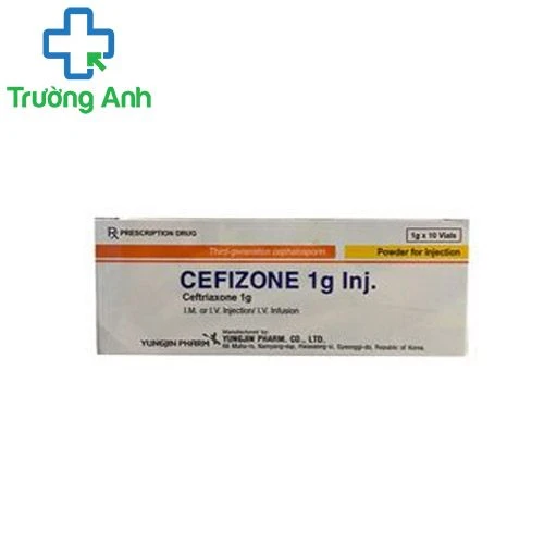 Cefizone 1g Inj - Thuốc điều trị nhiễm khuẩn thể nặng hiệu quả của Hàn Quốc