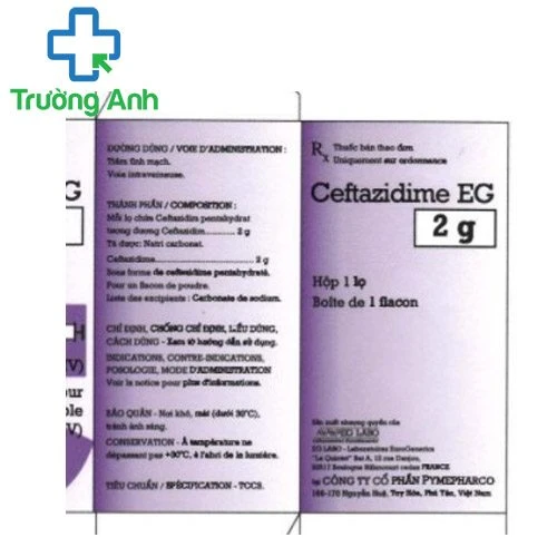 Ceftazidime EG 2g - Thuốc điều trị nhiễm khuẩn hiệu quả của Pymepharco