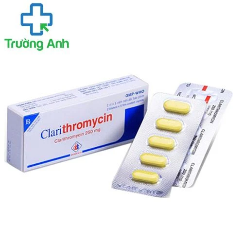 Clarithromycin 250mg Domesco - Thuốc điều trị nhiễm khuẩn hiệu quả 