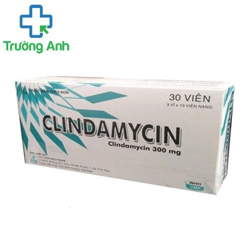 Clindamycin 300mg Davipharm - Thuốc điều trị nhiễm khuẩn