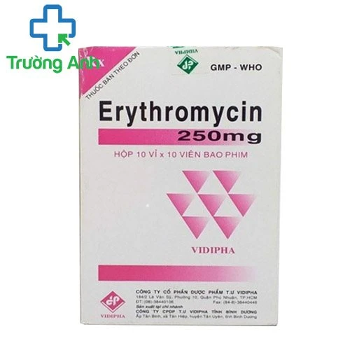 Erythromycin 250mg Vidipha - Thuốc điều trị nhiễm khuẩn hiệu quả