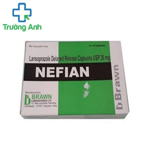 Nefian - Thuốc điều trị viêm loét dạ dày, tá tràng hiệu quả của Ấn Độ