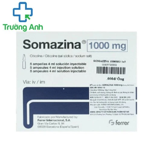 Somazina 1000mg/4ml - Thuốc điều trị bệnh não cấp tính hiệu quả của Ferrer