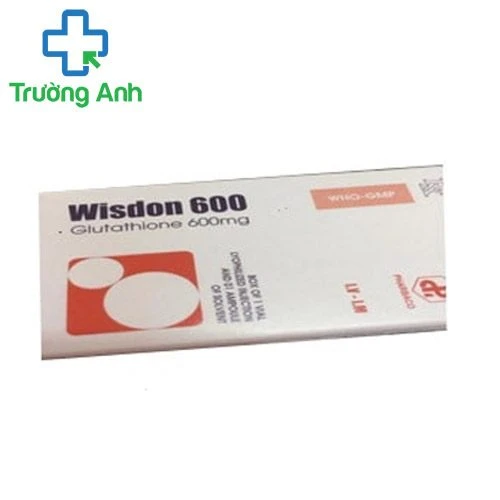 Thuốc tiêm Wisdon 600mg - Hỗ trợ trị bệnh hiệu quả của TW1