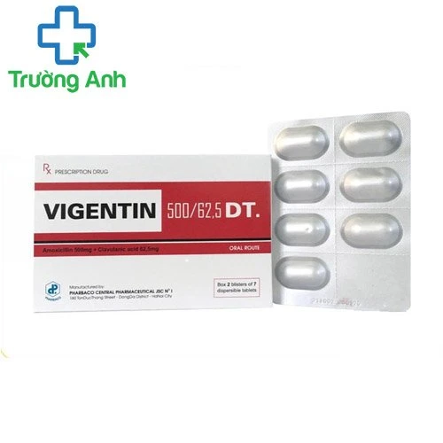 Vigentin 500mg/62.5mg DT Pharbaco - Thuốc điều trị nhiễm khuẩn hiệu quả