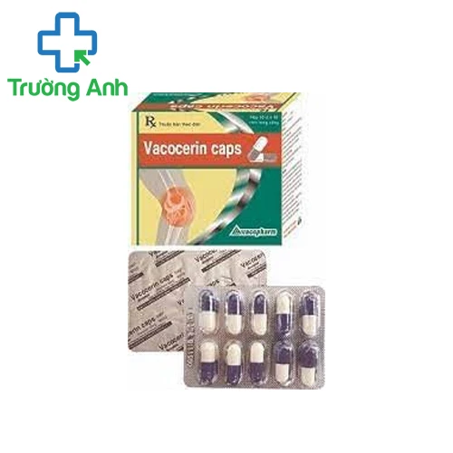 VACOCERIN CAPS - Thuốc điều trị thoái hóa khớp hiệu quả