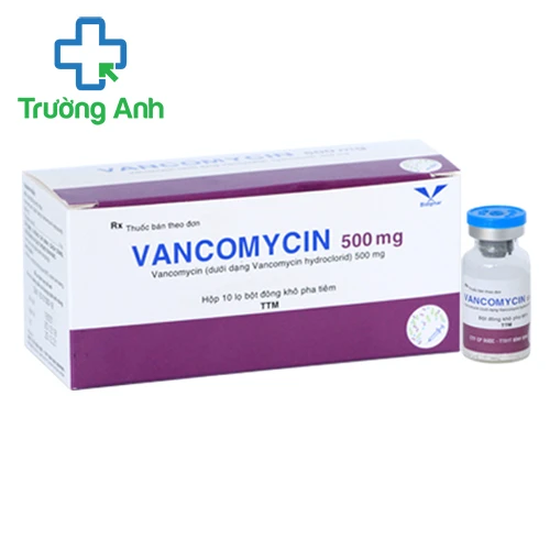Vancomycin 500mg Bidiphar (10 ống) - Thuốc điều trị nhiễm khuẩn hiệu quả