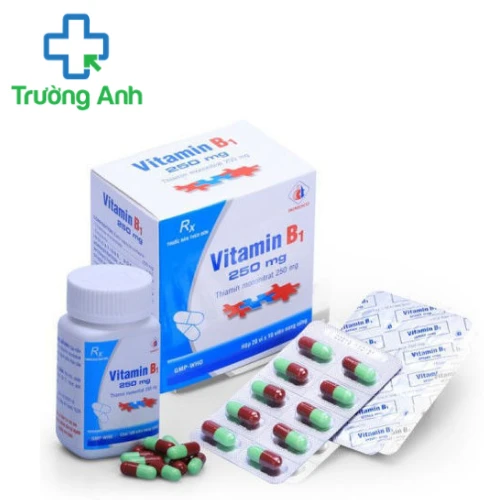 Vitamin B1 250mg - Điều trị bệnh do thiếu thiamin của Domesco