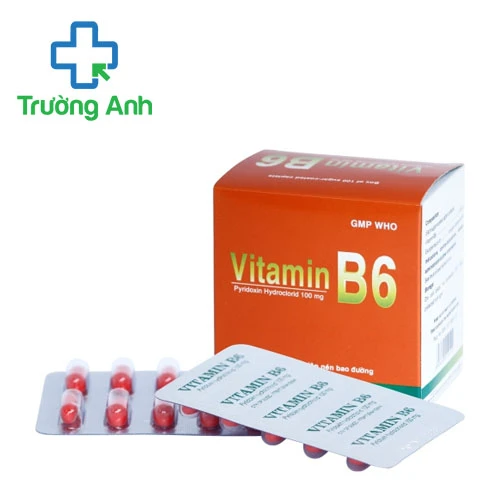 Vitamin B6 100mg Bidiphar - Thuốc điều trị thiếu máu hiệu quả