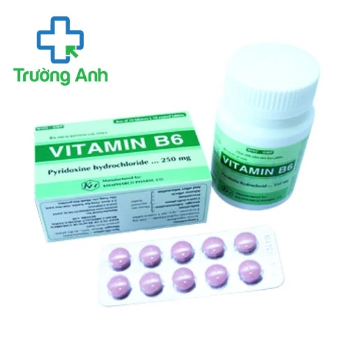 Vitamin B6 250mg Khapharco (viên nén) - Thuốc điều trị thiếu máu hiệu quả