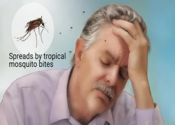 Các triệu chứng và cách điều trị bệnh sốt xuất huyết Dengue