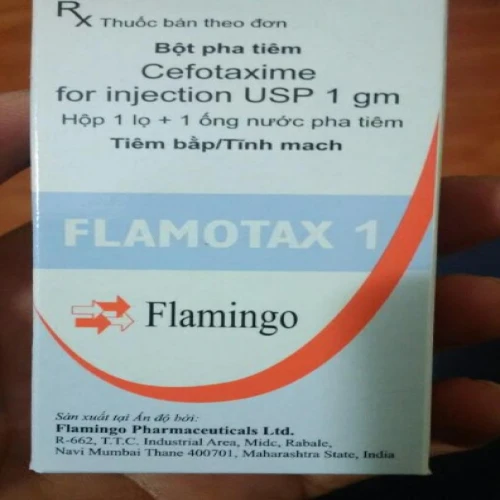 Flamotax 1g - Thuốc điều trị nhiễm khuẩn đường niệu, đường sinh dục hiệu quả