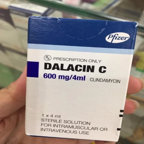 Dalacin C 600mg/4ml - Thuốc điều trị nhiễm trùng hiệu quả của Bỉ