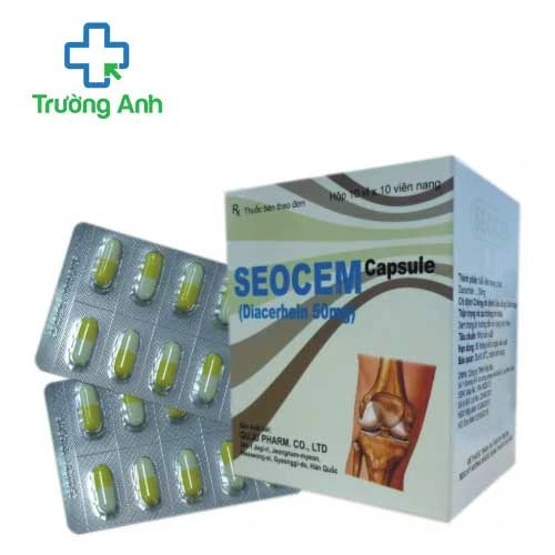 Seocem Capsule - Thuốc điều trị triệu chứng bệnh xương khớp hiệu quả