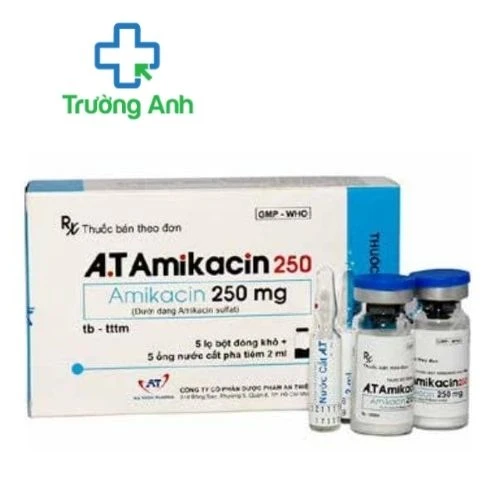 A.T Amikacin 250 - Thuốc điều trị nhiễm khuẩn của An Thien Pharma