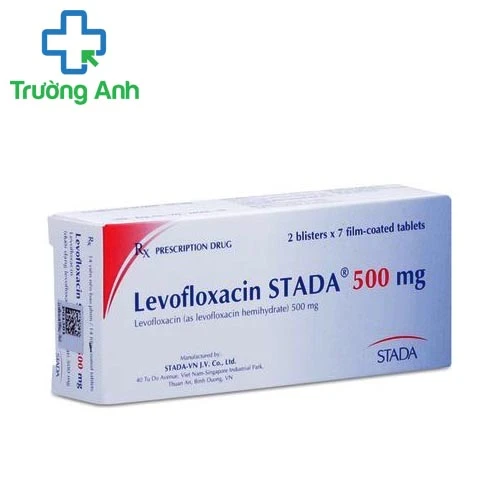 A.T Levofloxacin 500 - Thuốc điều trị nhiễm khuẩn hiệu quả