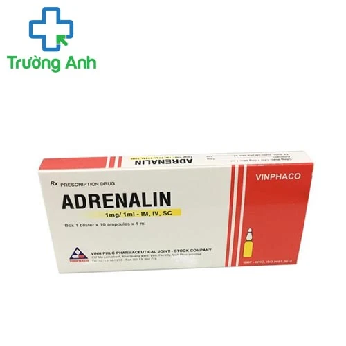 Adrenalin 1mg/1ml Vinphaco (10 ống) - Thuốc hồi sức tim hiệu quả