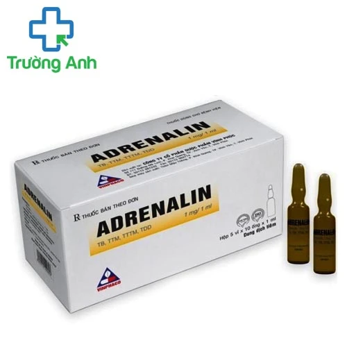 Adrenalin 1mg/1ml Vinphaco (50 ống) - Thuốc hồi sức tim hiệu quả