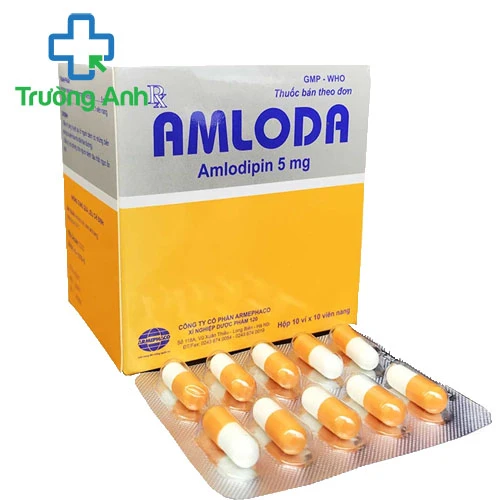 Amloda 5 Armepharco - Thuốc điều trị tăng huyết áp hiệu quả
