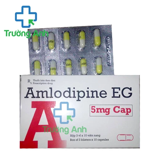 AMLODIPINE EG 5mg cap - Điều trị cao huyết áp, đau thắt ngực của Pymepharco