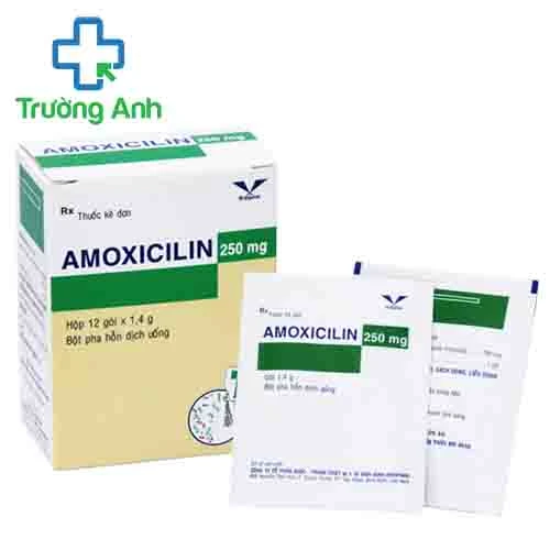 Amoxicilin 250mg Bidiphar (bột) - Thuốc điều trị nhiễm khuẩn hiệu quả