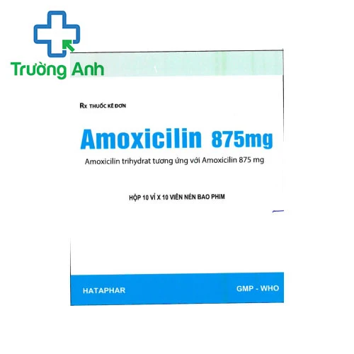 Amoxicilin 875mg Hataphar - Thuốc điều trị nhiễm khuẩn hiệu quả