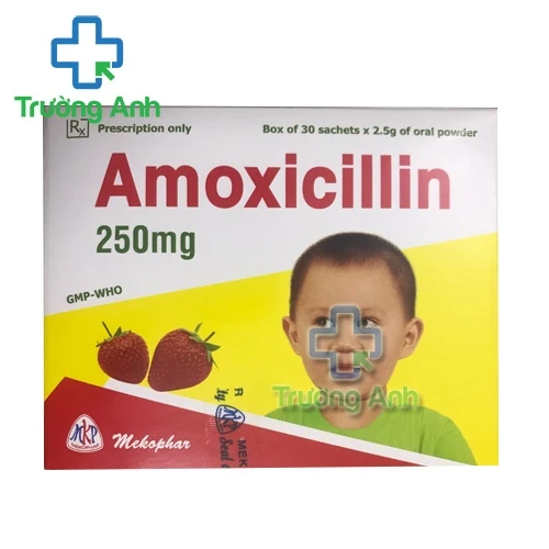 Amoxicillin 250mg Mekophar (bột) - Thuốc điều trị nhiễm khuẩn hiệu quả