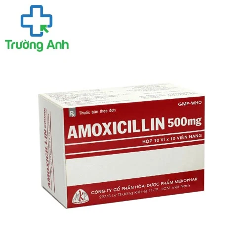 Amoxicillin 500mg Mekophar - Thuốc điều trị nhiễm trùng hiệu quả