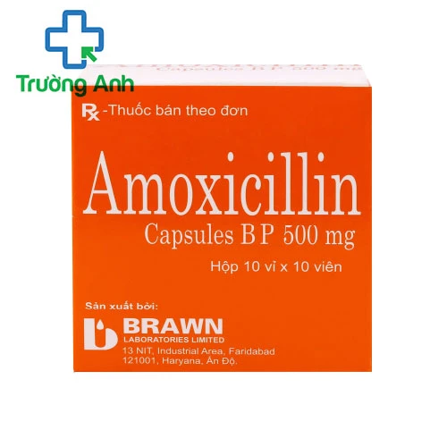 Amoxicillin 500mg Brawn - Thuốc điều trị nhiễm trùng, nhiễm khuẩn của Ấn Độ