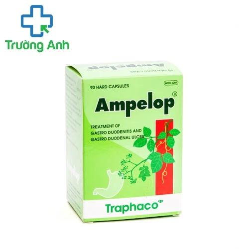 Ampelop Traphaco - Thuốc điều trị viêm loét dạ dày, tá tràng hiệu quả