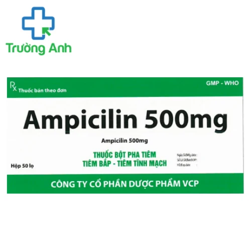 Ampicilin 500mg VCP - Thuốc điều trị nhiễm khuẩn hiệu quả