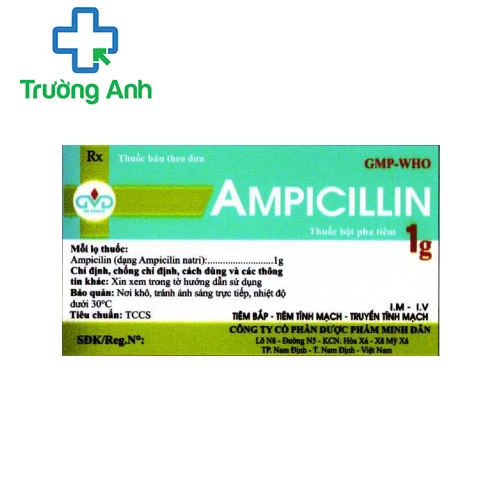 Ampicillin 1g MD Pharco - Thuốc điều trị nhiễm trùng, nhiễm khuẩn hiệu quả