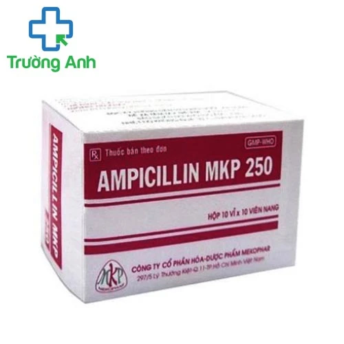 Ampicillin 250mg MKP - Thuốc kháng sinh trị bệnh hiệu quả