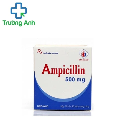 Ampicillin 500mg DMC - Thuốc điều trị nhiễm khuẩn hiệu quả