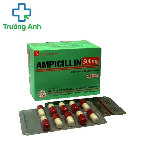 Ampicillin 500mg Mekophar - Thuốc kháng sinh hiệu quả