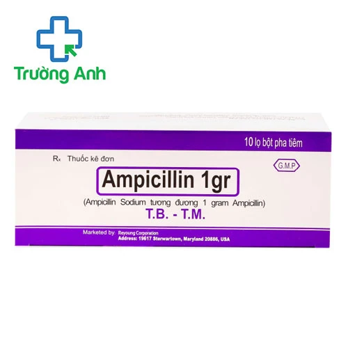 Ampicillin 1gr Mỹ - Thuốc điều trị các bệnh nhiễm khuẩn hiệu quả