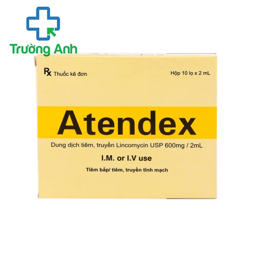 Atendex 600mg/2ml Makcur Laboratories - Thuốc điều trị nhiễm khuẩn nặng của Ấn Độ 