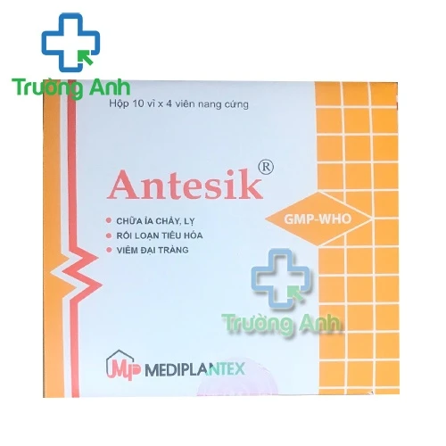 Antesik - Thuốc điều trị các bệnh lý đường tiêu hóa hiệu quả