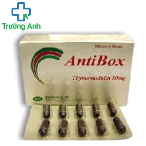  Antibox 80mg - Thuốc giúp tăng cường sức đề kháng hiệu quả của Hàn Quốc