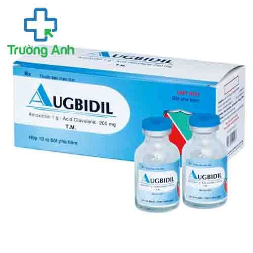 Augbidil tiêm Bidipharm - Thuốc điều trị nhiễm khuẩn hiệu quả