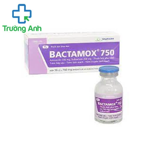 Bactamox 750 tiêm - Thuốc điều trị nhiễm khuẩn hiệu quả của Imexpharm