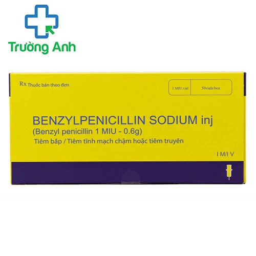 Benzylpenicillin sodium Inj Harbin - Thuốc điều trị nhiễm trùng hiệu quả