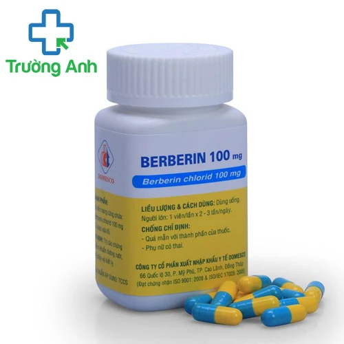 Berberin 100mg Domesco - Thuốc điều trị nhiễm trùng đường ruột hiệu quả