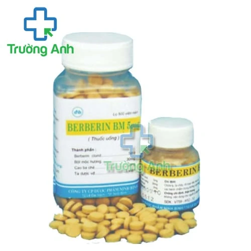 Berberin BM 5mg Ninh Bình - Thuốc điều trị các bệnh lý đường tiêu hóa