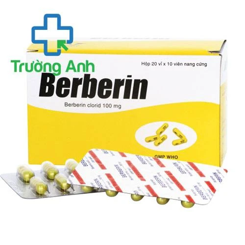Berberin Armephaco - Thuốc điều trị tiêu chảy hiệu quả