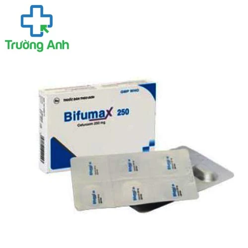 Bifumax 250mg - Thuốc kháng sinh trị bệnh hiệu quả của Bidiphar