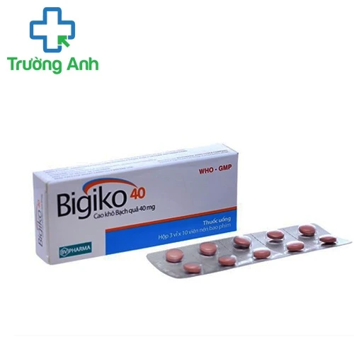 Bigiko 40 - Thuốc điều trị rối loạn tuần hoàn não hiệu quả