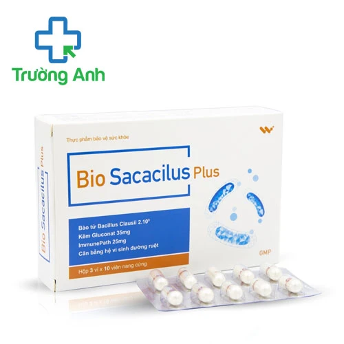 Bio Sacacilus Plus - Hỗ trợ giảm triệu chứng rối loạn tiêu hóa